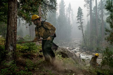 The Economic Toll of the Witch Creek Fire: A Comprehensive Analysis